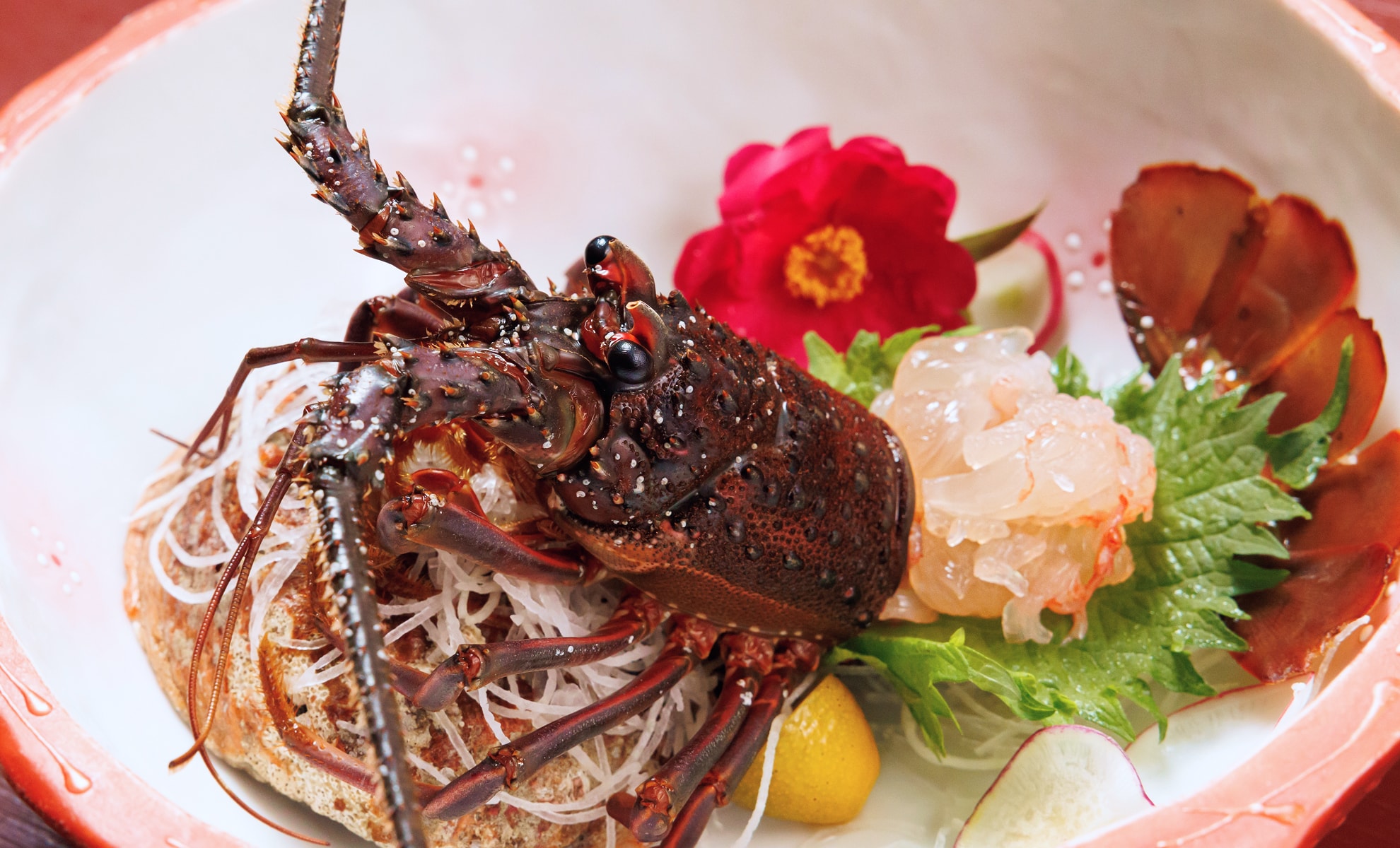 イセエビの写真