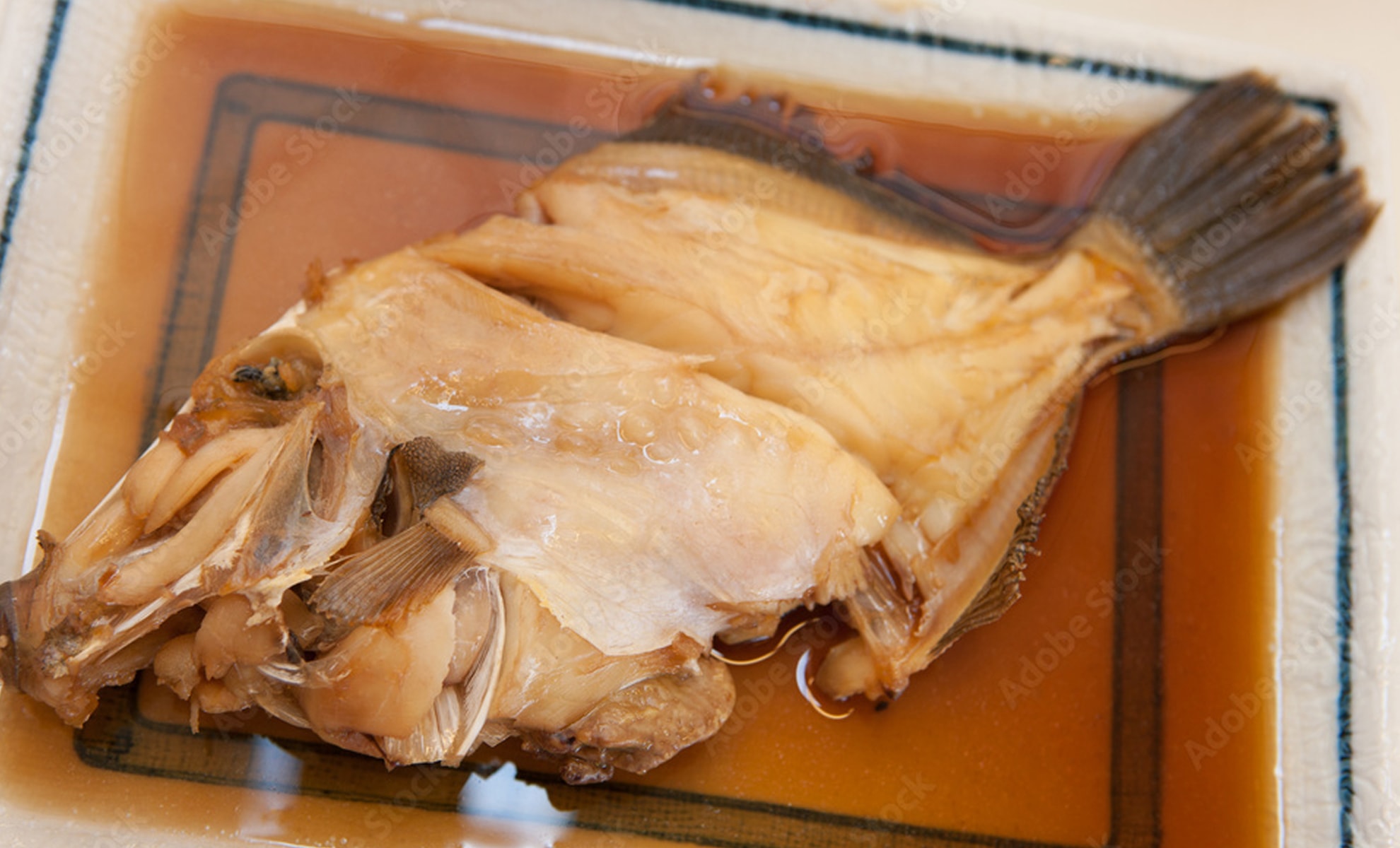 カワハギの写真