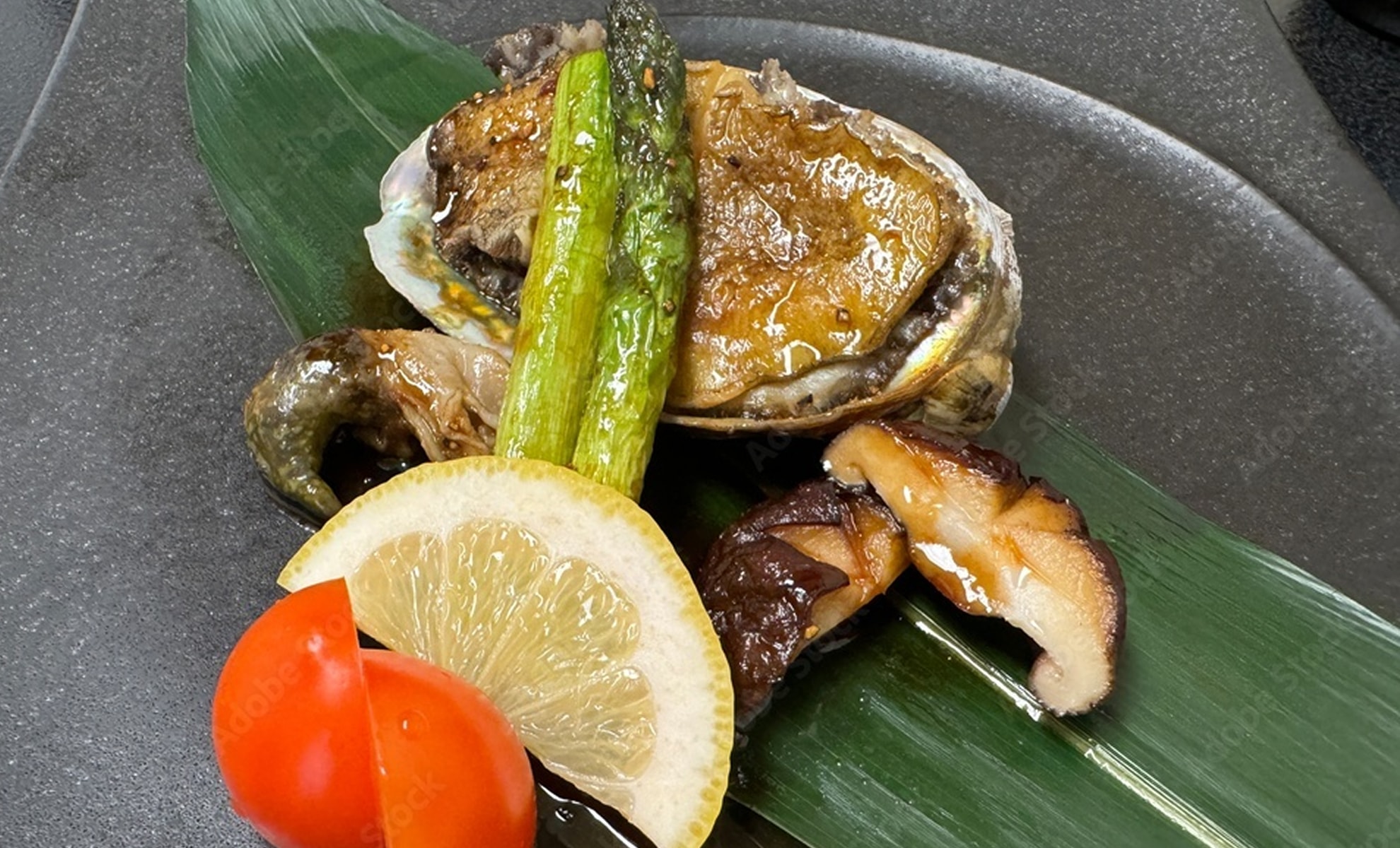 クロアワビの写真