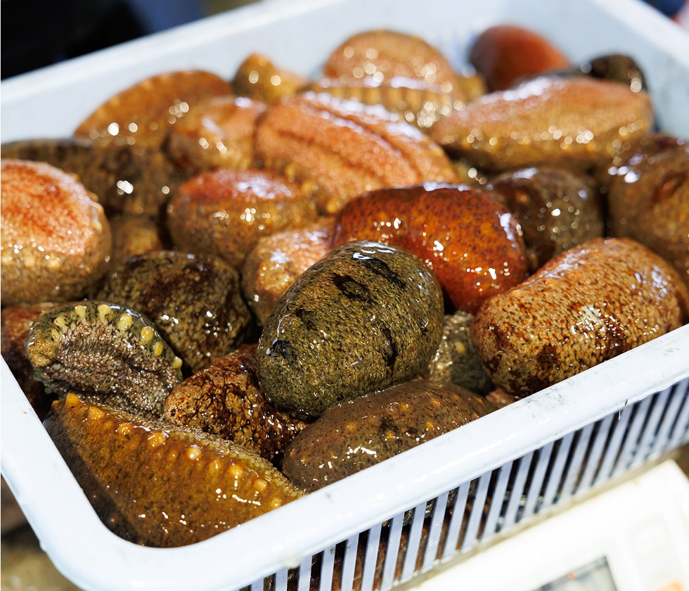 由岐で獲れる海産物の写真